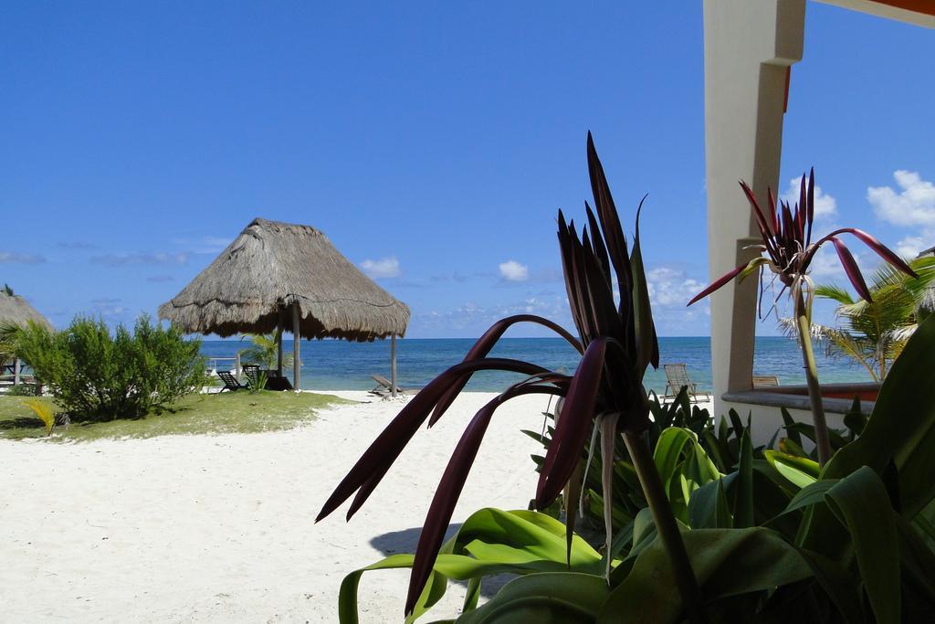 Mayan Beach Garden El Placer Buitenkant foto