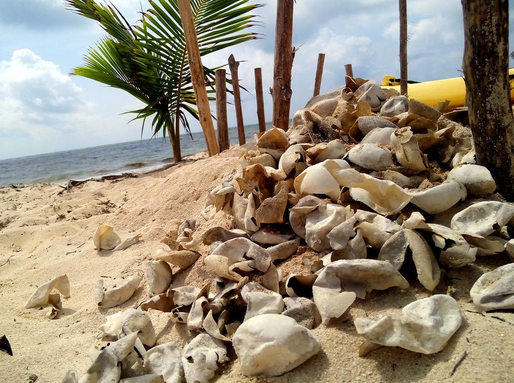 Mayan Beach Garden El Placer Buitenkant foto